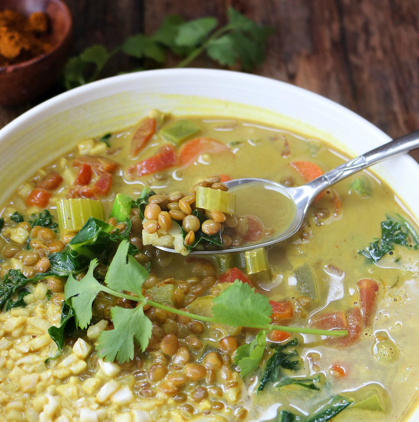 Curried Lentil Vegetable Soup